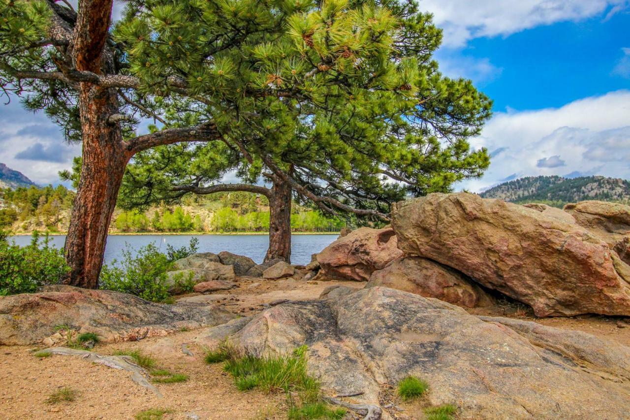 The Pine Cone - Permit #3255 Apartment Estes Park Bagian luar foto